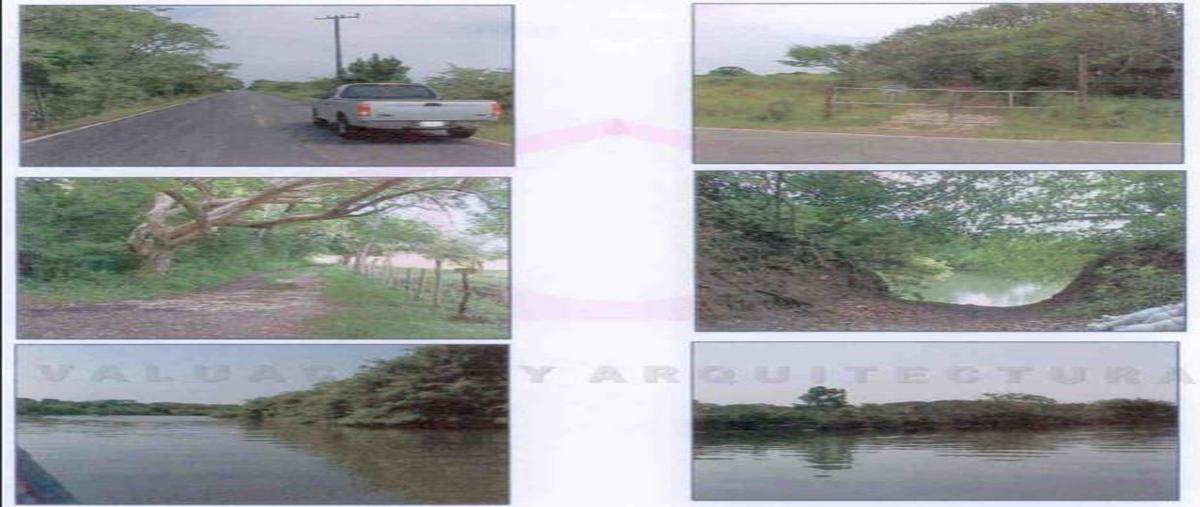 Foto de terreno habitacional en venta en  , cabo rojo (novillos) [ganadera], tampico alto, veracruz de ignacio de la llave, 20938577 No. 03